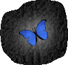 kgyt